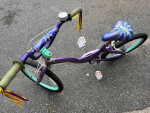 Girls Bike