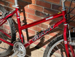 Giant women’s bike 26