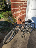 21 speed Trek bike