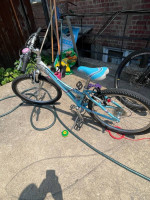 TREK  kids bike   24