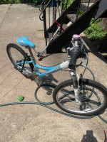 TREK  kids bike   24