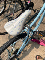 TREK  kids bike   24