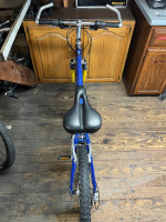 Raleigh M60 Mountain Bike 19.5"-MADE IN USA-Full Tune up-Ready to Ride