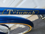 Triumph(Raleigh) 3 Speed Comfort Bike