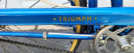 Triumph(Raleigh) 3 Speed Comfort Bike
