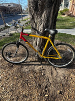 Schwinn Mesa Mountain Bike yellow/ red