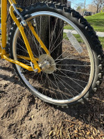 Schwinn Mesa Mountain Bike yellow/ red
