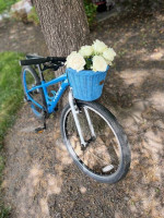 Trek Bike Wahoo-24 Used in Excellent Condition Sky Blue