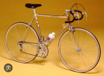 WTB: Gazelle Champion Mondial