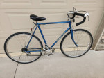 PACIFIC PREMIER road bike, 12 speed, leather seat, ready! 24" frame
