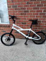 cannondale hooligan 8