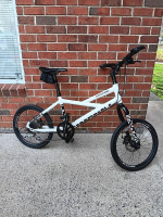 cannondale hooligan 8