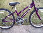 24" Schwinn Frontier Mountain Bike
