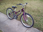 24" Schwinn Frontier Mountain Bike