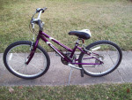 24" Schwinn Frontier Mountain Bike