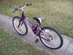 24" Schwinn Frontier Mountain Bike