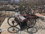 Trek 830 classic 90s mtn bike