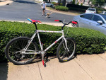 Unique custom painted steel bicycle