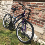 Roadmaster MT. Sport SX 18 Speed Youth/Small Adult Sized Mountain Bike