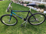 Trek 820 mountain bike 19.5”