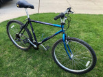 Trek 820 mountain bike 19.5”