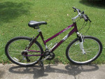 Raleigh Mojave 2.0 Mountain Bike