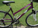 Raleigh Mojave 2.0 Mountain Bike