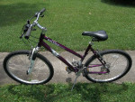 Raleigh Mojave 2.0 Mountain Bike
