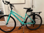 Avasta Pedal Assist eBike