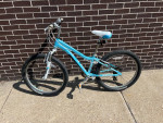 Fiji Dynamite 24” Girls Bike