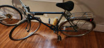 Free Spirit Bicycle for sale