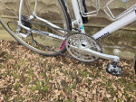 Bianchi Eros Road Bike MINT CONDITION Ready To ride