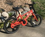 REI Kids Bike 16"