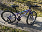 Kids Mountain Bike - Jamis XR24 - purple