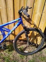 Mountain Bike 29" Kent 29" Flexor Tires super nice condition