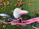 Womans 7-Speed Beach & Street Cruiser Bike - Schwinn Roxie