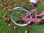 Womans 7-Speed Beach & Street Cruiser Bike - Schwinn Roxie
