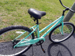 Fuji cape may cruiser