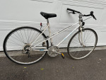 Solid PUEGTO Hybrid Bike