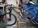 Carbon Polygon 29er