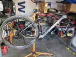 Carbon Polygon 29er