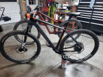 Carbon Polygon 29er