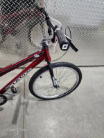 Ssquared 24 inch pro cruiser