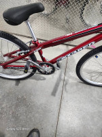 Ssquared 24 inch pro cruiser