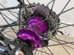 Custom Bike