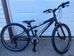 Trek MT200 24" Boy's Kids Bike
