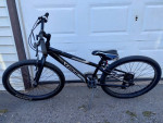 Trek MT200 24" Boy's Kids Bike