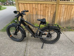 Radpower RadRover 6 Plus Electric Fat Tire Bike E-Bike