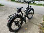 Radpower RadRover 6 Plus Electric Fat Tire Bike E-Bike