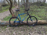 Nishiki Pueblo mountain bike large